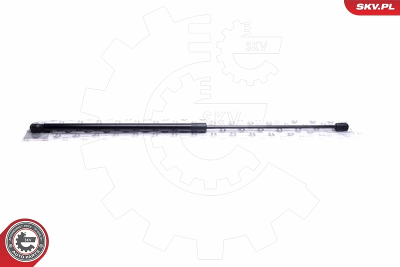 Gas Spring, boot/cargo area